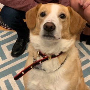 Meet your Posher, Jeff